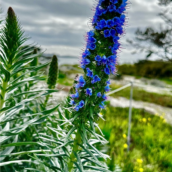 Meet your Posher, Nicole - Picture 7 of 16